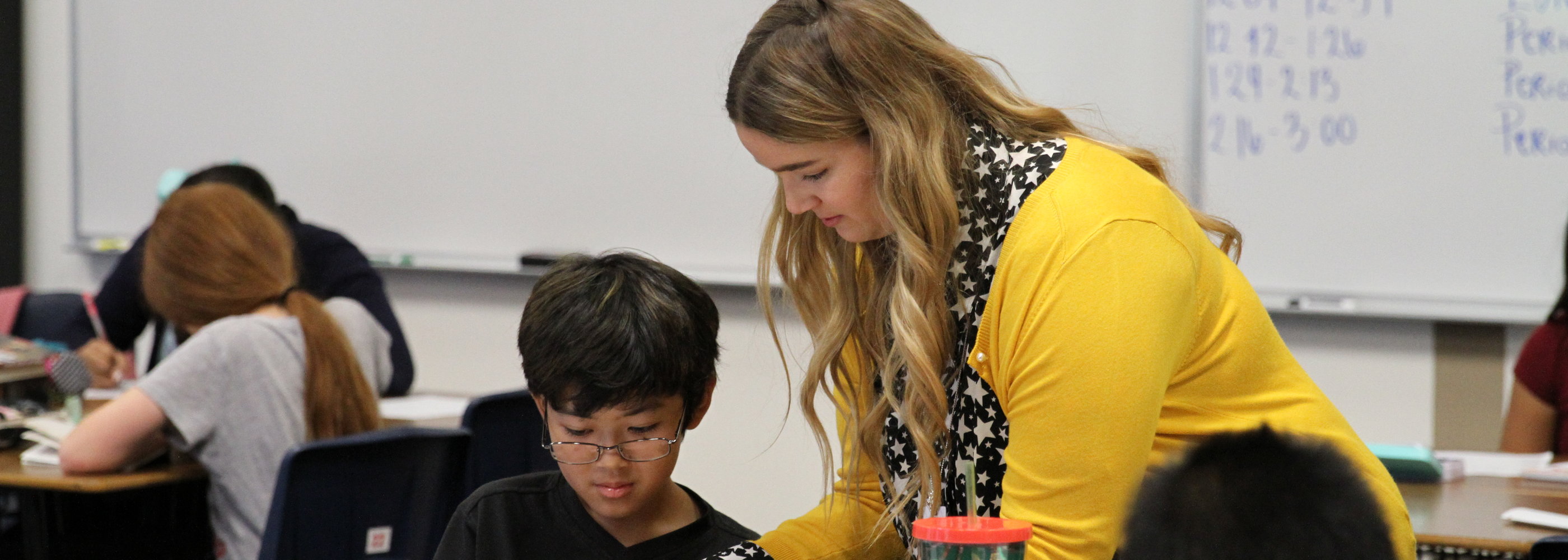 Teacher working with student